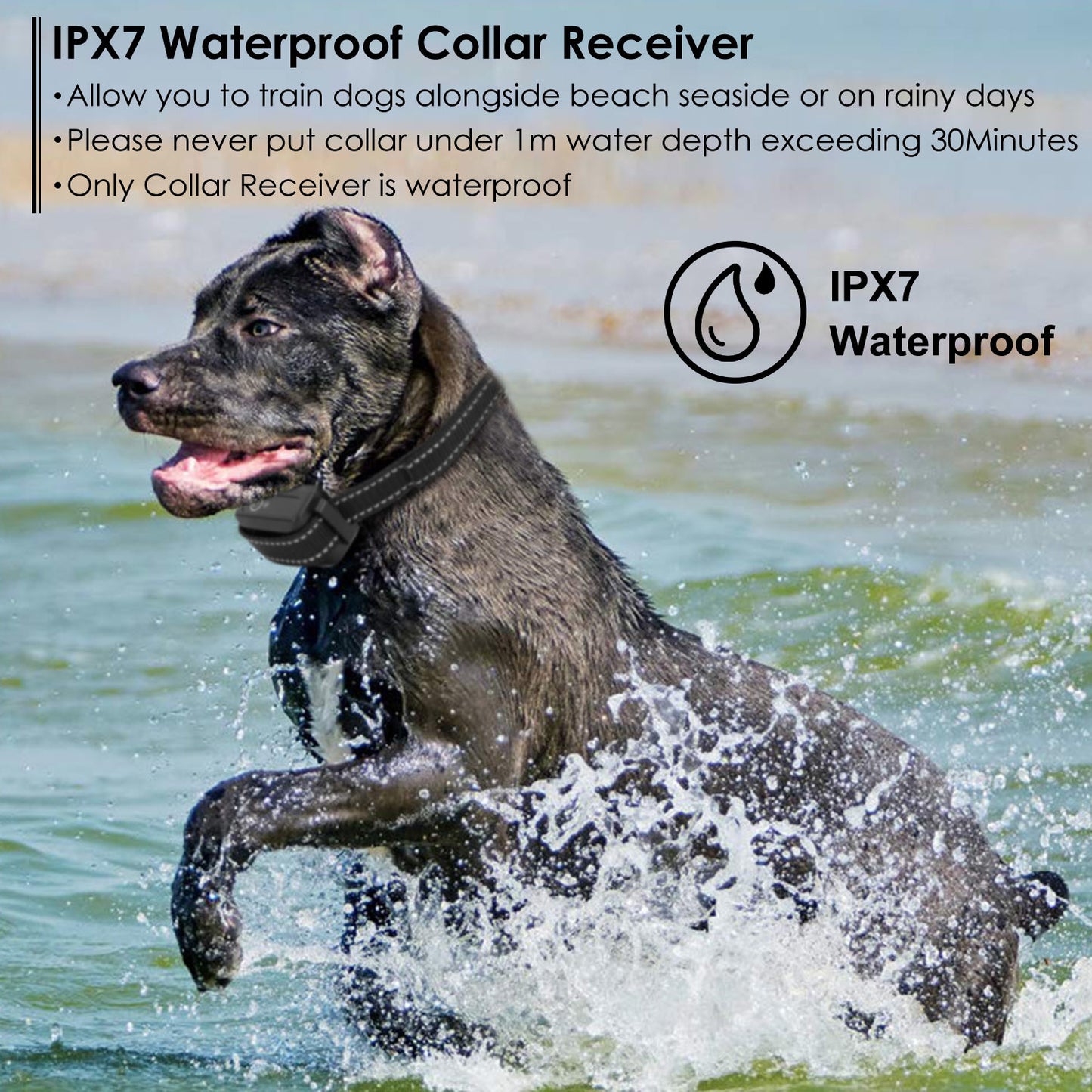 Dog Training Collar IPX7 Waterproof Pet Beep Vibration Electric Shock Collar