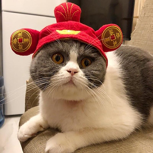Funny Cat Costume Headgear